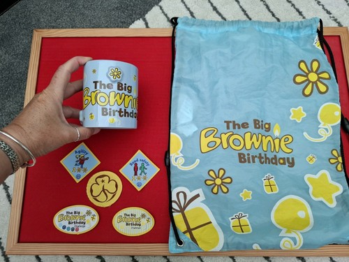 Girlguiding big brownie - big,