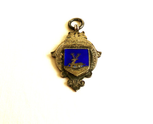 Vintage silver enamel medal - silver,