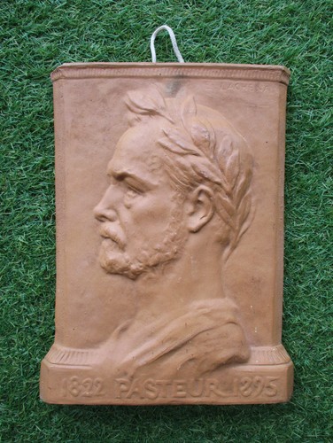 Antique louis pasteur - antique,