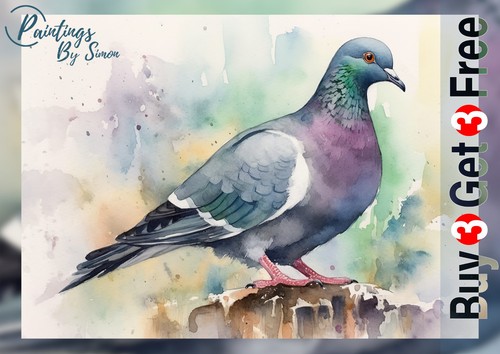 Pigeon 5x7 print - print, matte