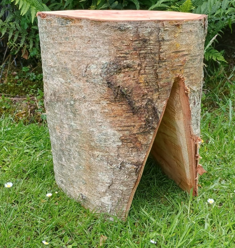 Tree stump stool handmade