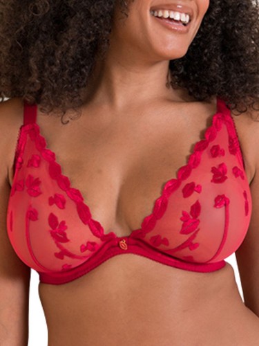 Curvy kate pucker plunge - up,