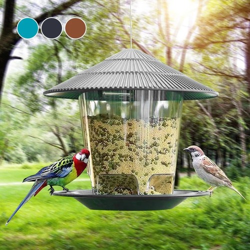 Hanging wild bird feeder - bird,