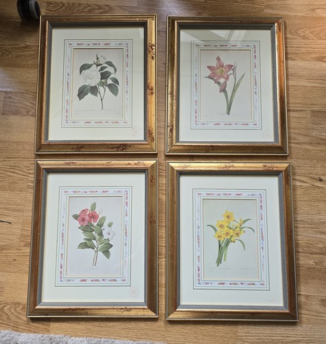 Vintage botanical prints 4 - vintage,