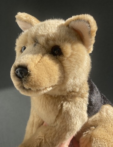 Leosco german shepherd - leosco,