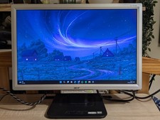 Acer AL1916W 19-inch LCD