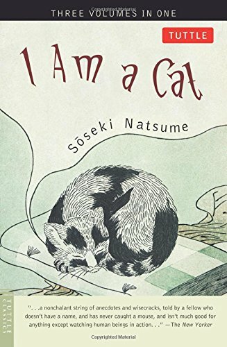 Cat - am,