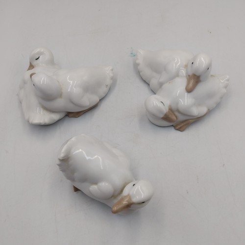 Nao lladro porcelain ducks - nao, by