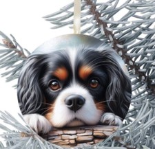 King Charles Cavalier Spaniel