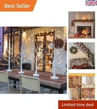 Charming 60cm Birch Twig Trees