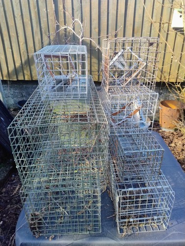 Mk4 fenn traps with - mk4,