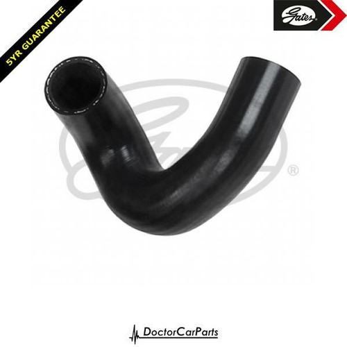 Radiator hose pipe upper for - pipe,
