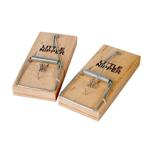 Mouse trap little - -,