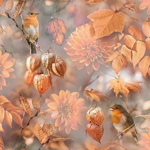 Orange autumn robin flower - 4x,
