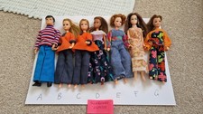 1970s Original PIPPA Dolls and Original Clothes Vintage