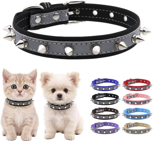 Black small spiked dog - black, collar