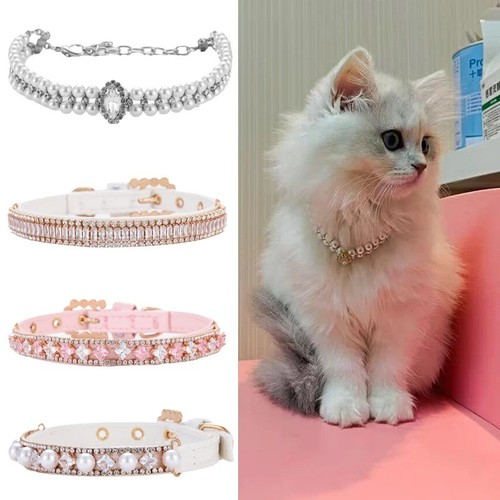 Fashion cat dog collar - cat/dog, with