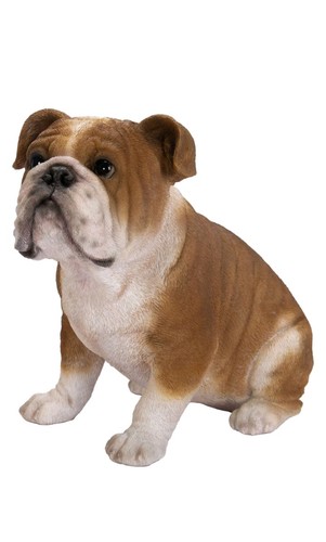 Vivid arts bulldog dog - vivid,