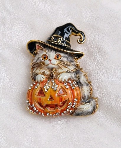 Halloween witch ragdoll cat - witch,