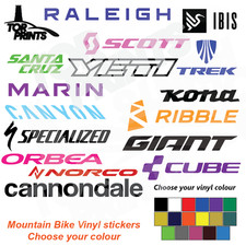 Large mountain bike - mountain,