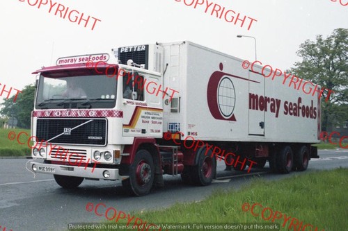 Truck photo moray seafoods - truck,