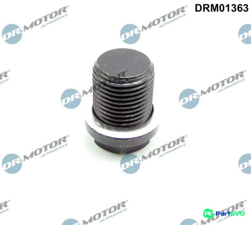 Motor automotive oil - dr.motor,