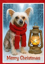 Chinese Crested Dog A6 (4" x