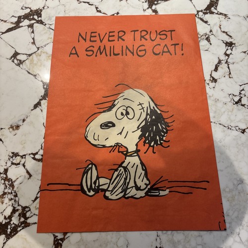 Vintage snoopy united feature - vintage,