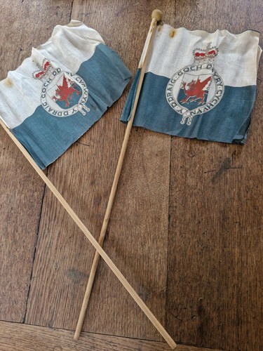 Vintage welsh dragon - vintage, flags