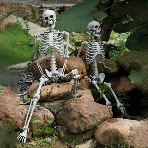 Halloween skeleton life - life, size