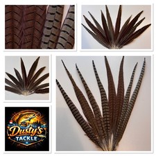 Cock pheasant tail feathers - pheasant,