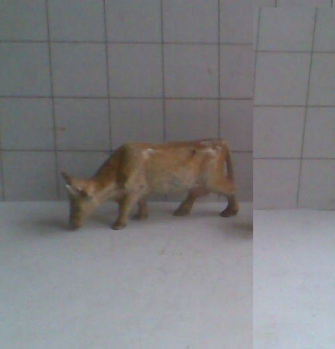 Wendal wend quiralu - wendal,