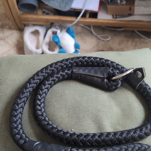 Handmade english gun dog - gun,