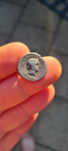 Norbanus roman republic - norbanus,