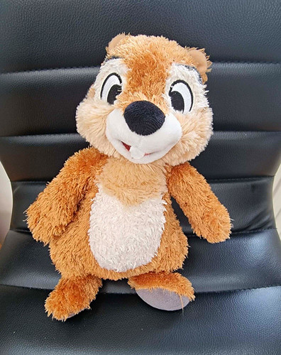 Disney chip dale - chip, 'n'
