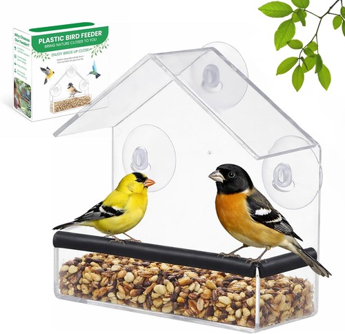 Window bird feeders - bird,