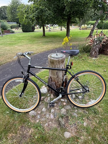 Ridgeback mountain bike 602sx - mountain,