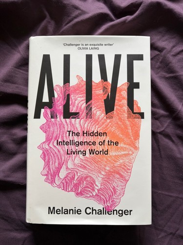 Alive the hidden - alive:,