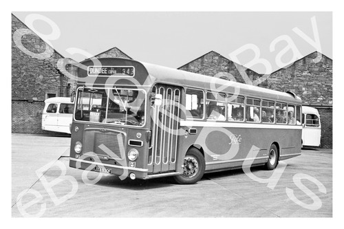 Bus photograph alexander fife - bus,