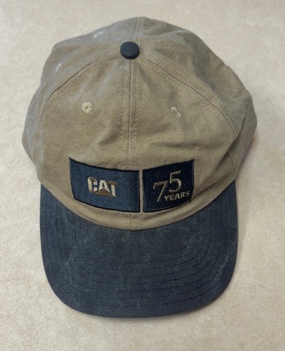 Caterpillar years - 75,