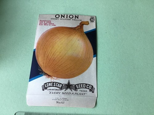 Onion sweet spanish yellow - onion,