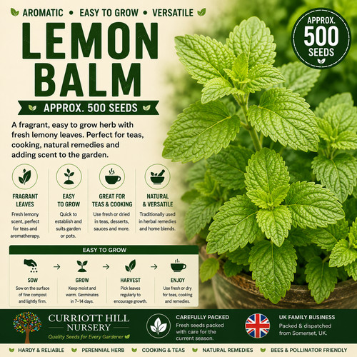 Lemon balm seeds 500 melissa - |,