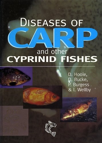 Diseases carp and - carp, other