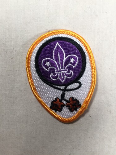 Boy scouts gilwell - scouts,