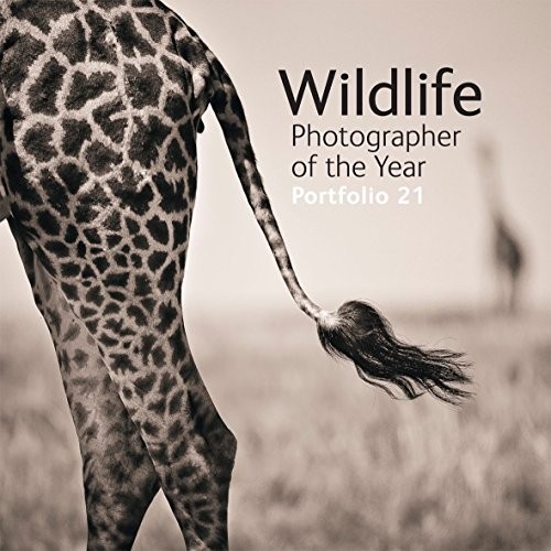 Wildlife photographer the - wildlife,