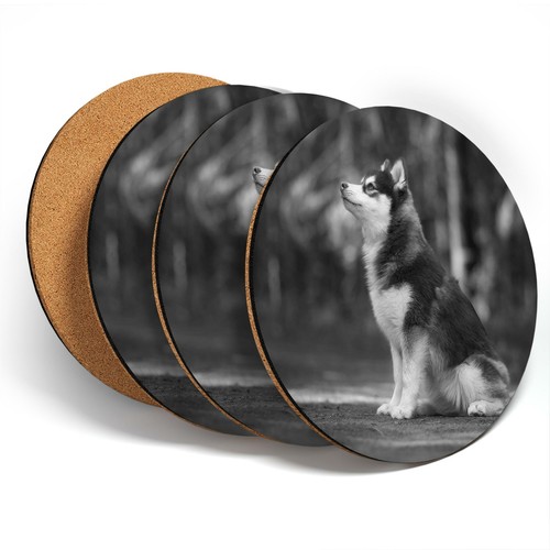 Coasters bw siberian - coasters,