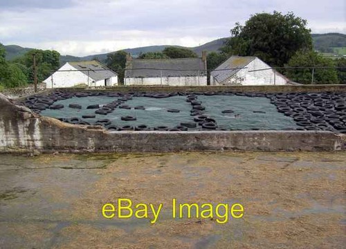 Photo 6x4 foreside farm - photo,