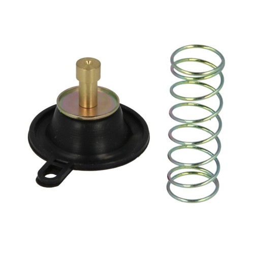 Carburetor air release valve - carburetor,