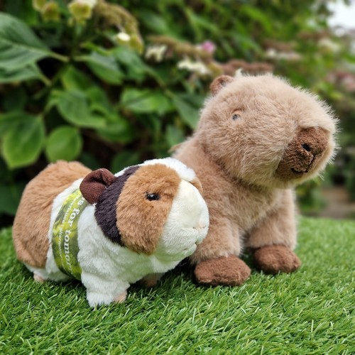 Steiff set chip capybara - steiff,