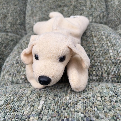 Andrex puppy golden retriever - puppy,